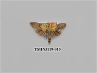 藏品(螟蛾223)的圖片